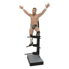 AEW Gallery PVC Statue Bryan Danielson 25 cm Hobby