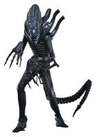 Alien Movie Masterpiece Figurka 1/6 Alien Warrior 39 cm Hobby
