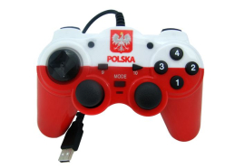 Pad kibica Biało-Czerwonych