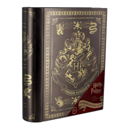 Skarbonka Harry Potter Hogwart 20 cm