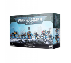Space Wolves Grey Hunters