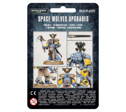 Space Wolves Upgrade Pack