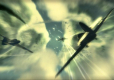 Blazing Angels 2: Secret Missions of WW II PL