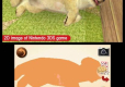 Nintendogs Golden Retriever + Cats Select