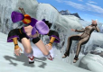 Dead or Alive Dimensions