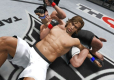 UFC Undisputed 3
