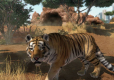 Zoo Tycoon