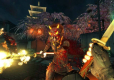 Shadow Warrior