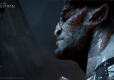 Dragon Age Inkwizycja PL edycja Gra Roku