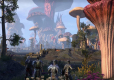 The Elder Scrolls Online Morrowind Collectors Edition
