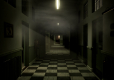The Inpatient