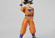 DRAGON BALL SON GOKU Figure-rise Standard