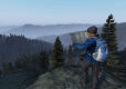 Dayz