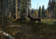 Dayz