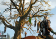 The Witcher 3 Wild Hunt Complete Edition PL/ANG
