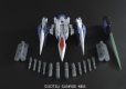 PG 1/60 00 RAISER