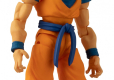 DRAGON BALL SUPER EVOLVE SUPER SAIYAN BLUE GOKU