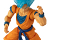 DRAGON BALL SUPER EVOLVE SUPER SAIYAN BLUE GOKU