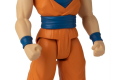 DRAGON BALL LIMIT BREAKER GOKU