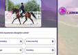 Equestrian Training