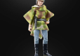 Star Wars Episode VI 40th Anniversary Black Series Action Figure Princess Leia (Endor) 15 cm