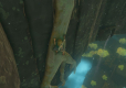 The Legend of Zelda Tears of the Kingdom