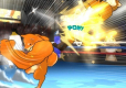 Fight of Animals (import)