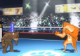 Fight of Animals (import)