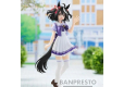 UMAMUSUME: PRETTY DERBY - KITASAN BLACK