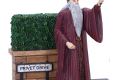 Harry Potter Figure Privet Drive Light Up 19 cm