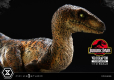 Jurassic Park Prime Collectibles Statue 1/10 Velociraptor Closed Mouth 19 cm