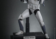 Star Wars The Clone Wars Action Figure 1/6 104th Battalion Wolfpack Clone Trooper 30 cm