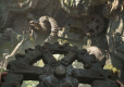 Indiana Jones and the Great Circle ANG/PL