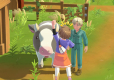 Harvest Moon: Home Sweet Home Special Edition