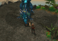 Sacred 2: Fallen Angel Remaster