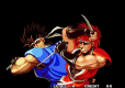 ACA NEOGEO Selection Vol. 8 (import)