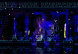 Animal Well Lost in Cult Blue Cover