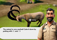 Sophia's Animal Clinic
