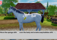 Sophia's Animal Clinic