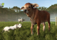 Farming Simulator 25 - Beans & Alpacas Edition