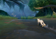 Warrior Cats: Clans Of The Forest