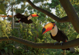 Planet Zoo 2