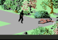 Evercade The Last Ninja and IK Collection