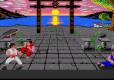 Evercade The Last Ninja and IK Collection