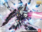MG 1/100 PROVIDENCE GUNDAM G.U.N.D.A.M. EDITION Hobby