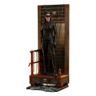 The Dark Knight Trilogy Movie Masterpiece Action Figure 1/6 Catwoman 29 cm Hobby