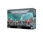 Aeldari Guardians Hobby