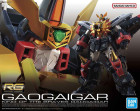 Gundam RG GAOGAIGAR Hobby