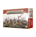 Cities of Sigmar Freeguild Cavaliers Hobby