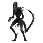 Alien Romulus Movie Masterpiece Action Figure 1/6 Scorched Xenomorph 44 cm Hobby